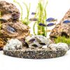 API Fishcare 52Q API TAP Aquarium Water Conditioner 32-Ounce Bottle-1