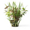 API pH DOWN Aquarium pH Reducing Solution 4 oz Phosphate Free-3