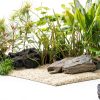 API LEAF ZONE Freshwater Aquarium Plant Fertilizer 8-Ounce Bottle-4