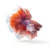 Aqueon PURE Betta Beads, Water Care for Unfiltered Aquariums, Maintains Clear Water and Helps Breakdown Organic Sludge, Blue-1