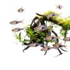 API pH DOWN Aquarium pH Reducing Solution 4 oz Phosphate Free-4