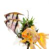 Tetra Aquarium Salt for Freshwater Tanks 16 Ounce Quality Electrolyte-6