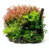 API LEAF ZONE Freshwater Aquarium Plant Fertilizer 8-Ounce Bottle-2