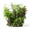 API pH DOWN Aquarium pH Reducing Solution 4 oz Phosphate Free-5